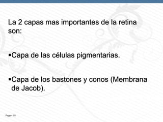 La 2 capas mas importantes de la retina
son:
Capa de las células pigmentarias.
Capa de los bastones y conos (Membrana
de Jacob).

Page  19

 