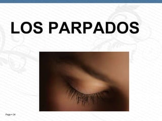 LOS PARPADOS

Page  34

 