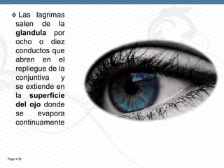  Las lagrimas

salen de la
glandula por
ocho o diez
conductos que
abren en el
repliegue de la
conjuntiva
y
se extiende en
la superficie
del ojo donde
se
evapora
continuamente

Page  39

 