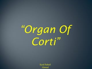 “Organ Of
  Corti”
   Syed Suhail
     Ahmad
 