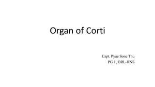Organ of Corti
Capt. Pyae Sone Thu
PG 1, ORL-HNS
 