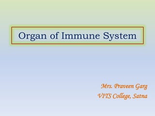 Organ of Immune System
Mrs. Praveen Garg
VITS College, Satna
 