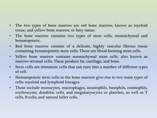 Organ of immune system | PPTX
