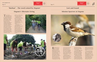 Organo final pdf.compressed