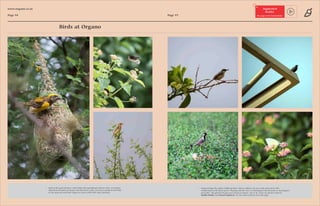 Organo final pdf.compressed