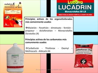 Principios activos de los organofosforados
más comúnmente usados

Malatión - Parathión - dimetoato - fentión -
propoxur - diclofenotion – Monocrotofos
Dicrotofos (4)

Principios activos de los carbamatos más
comunmente usados

Carbofurán - Thiofanox                -   Oxamyl   -
Methiocarb - Aldicarb (4)




          De Luna Berrones Antonio GRUPO 2225
 