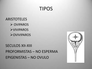 TIPOSARISTOTELES OVIPAROS