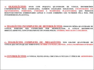 MÓRULAConstitui a forma embrionária encontrada após sucessivas divisões celulares. Caracteriza-se, fundamentalmente, pela forma esférica e por apresentar-se maciça, isto é, formada inteiramente por células embrionárias. Só ocorre no tipo de segmentação holoblástica igual.BLÁSTULACaracteriza-se, de um modo geral, pela forma globosa e por apresentar uma única camada de células (blastoderma), delimitando uma cavidade completamente fechada (blastocele). GASTRULAÇÃOProcesso de formação da gástrula. Caracteriza-se pela presença de duas camas celulares; pode ocorrer por embolia - formação da gástrula por invaginação de um dos pólos da blástula (como se vê o anfioxo) - ou por epibolia - formação da gástrula nos vertebrados a partir do recurvamento do disco embrionário. NEURULAÇÃOFase do desenvolvimento embrionário dos animais ditos cordados, imediatamente posterior à gástrula, durante o qual se forma o tubo neural. É o estágio em que se intensifica a diferenciação celular.ORGANOGÊNESE      Fase em que há formação dos órgãos do animal; estágio em que as células que compõem os respectivos tecidos se apresentarão especializadas. 