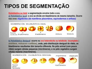 SEGMENTAÇÃO