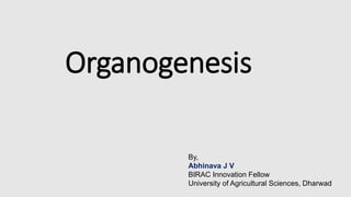 Organogenesis
By,
Abhinava J V
BIRAC Innovation Fellow
University of Agricultural Sciences, Dharwad
 