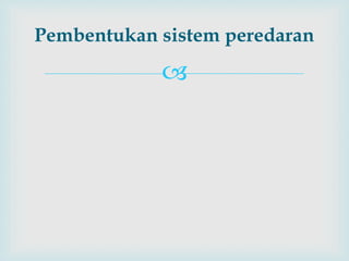 
Pembentukan sistem peredaran
 