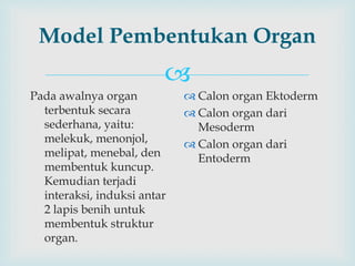 
Model Pembentukan Organ
Pada awalnya organ
terbentuk secara
sederhana, yaitu:
melekuk, menonjol,
melipat, menebal, den
membentuk kuncup.
Kemudian terjadi
interaksi, induksi antar
2 lapis benih untuk
membentuk struktur
organ.
 Calon organ Ektoderm
 Calon organ dari
Mesoderm
 Calon organ dari
Entoderm
 