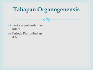 
Tahapan Organogenensis
 Periode pertumbuhan
antara
 Periode Pertumbuhan
akhir
 