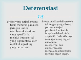 
Deferensiasi
proses yang terjadi secara
terus menerus pada sel,
jaringan untuk
membentuk struktur
yang spesifik dan
melalui interaksi sel
yang diperantarai oleh
molekul signalling
yang bervariasi.
Proses ini dikendalikan oleh
faktor gen yang dibawa
pada saat terjadi
pembentukan kutub
fungsional dan kutub
vegetatif. Pada akhirnya
masing-masing bagian
endoderm,
mesoderm, dan
ektoderm akan
mengalami diferensiasi
menjadi organ-organ.
 