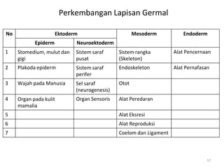 17
No Ektoderm Mesoderm Endoderm
Epiderm Neuroektoderm
1 Stomedium, mulut dan
gigi
Sistem saraf
pusat
Sistem rangka
(Skeleton)
Alat Pencernaan
2 Plakoda epiderm Sistem saraf
perifer
Endoskeleton Alat Pernafasan
3 Wajah pada Manusia Sel saraf
(neurogenesis)
Otot
4 Organ pada kulit
mamalia
Organ Sensoris Alat Peredaran
5 Alat Eksresi
6 Alat Reproduksi
7 Coelom dan Ligament
Perkembangan Lapisan Germal
 