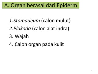 A. Organ berasal dari Epiderm
19
1.Stomadeum (calon mulut)
2.Plakoda (calon alat indra)
3. Wajah
4. Calon organ pada kulit
 