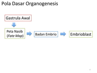 Gastrula Awal
Pola Dasar Organogenesis
Peta Nasib
(Fate Map) Embrioblast
Badan Embrio
8
 