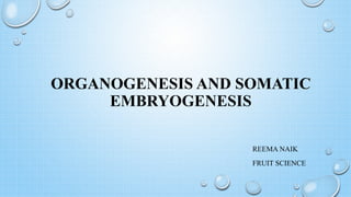 ORGANOGENESIS AND SOMATIC
EMBRYOGENESIS
REEMA NAIK
FRUIT SCIENCE
 