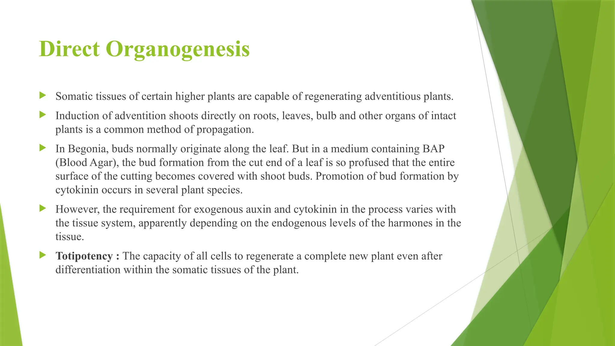 Organogenesis - Callus and direct organ formation | PPTX