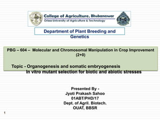 PBG – 604 – Molecular and Chromosomal Manipulation in Crop Improvement
(2+0)
Topic - Organogenesis and somatic embryogenesis
In vitro mutant selection for biotic and abiotic stresses
Department of Plant Breeding and
Genetics
Presented By -
Jyoti Prakash Sahoo
01ABT/PHD/17
Dept. of Agril. Biotech.
OUAT, BBSR
1
 