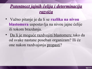 Potentnost jajnih ćelija i determinacijaPotentnost jajnih ćelija i determinacija
razvićarazvića

Važno pitanje je da li se razlika na nivou
blastomera uspostavlja na nivou jajne ćelije
ili tokom brazdanja.

Da li je moguće razdvojiti blastomere tako da
od svake nastane poseban organizam? Ili će
one nakon razdvajanja propasti?
 