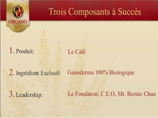 CONCEPT "ORGANO GOLD"