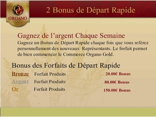 CONCEPT "ORGANO GOLD"