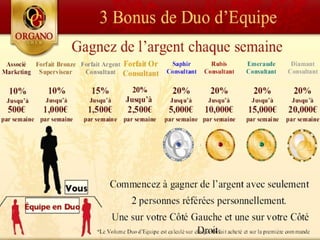 CONCEPT "ORGANO GOLD"