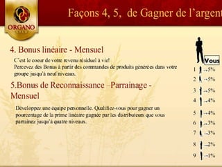 CONCEPT "ORGANO GOLD"