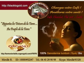 CONCEPT "ORGANO GOLD"