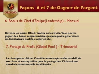 CONCEPT "ORGANO GOLD"
