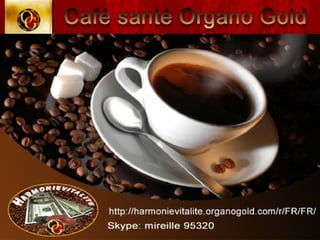 CONCEPT "ORGANO GOLD"