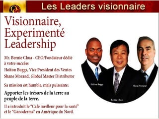 CONCEPT "ORGANO GOLD"