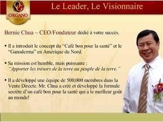 CONCEPT "ORGANO GOLD"