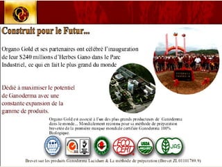 CONCEPT "ORGANO GOLD"