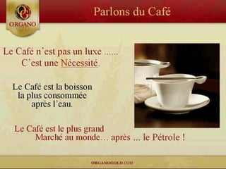 CONCEPT "ORGANO GOLD"