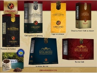 CONCEPT "ORGANO GOLD"