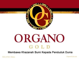  PELUANG BIZ ORGANO GOLD  ( MALAY )