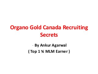 Organo Gold Canada Recruiting
           Secrets
         - By Ankur Agarwal
      ( Top 1 % MLM Earner )
 