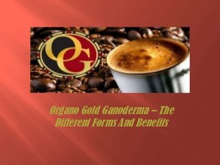 Organo Gold Ganoderma – The
Different Forms And Benefits

 