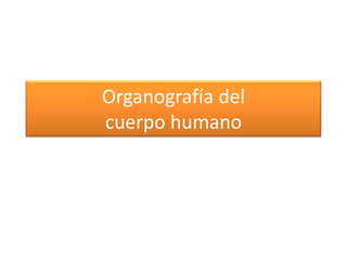 Organografía del
cuerpo humano
 