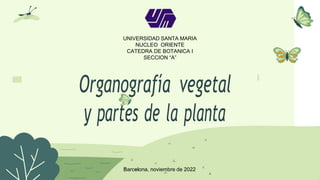 UNIVERSIDAD SANTA MARIA
NUCLEO ORIENTE
CATEDRA DE BOTANICA I
SECCION “A”
Organografía vegetal
y partes de la planta
Barcelona, noviembre de 2022
 