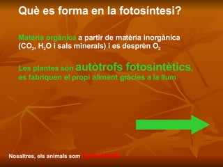Què es forma en la fotosíntesi? Matèria orgànica  a partir de matèria inorgànica  (CO 2 , H 2 O i sals minerals) i es desprèn O 2 Les plantes són  autòtrofs fotosintètics ,  es fabriquen el propi aliment gràcies a la llum Nosaltres, els animals som  heteròtrofs 