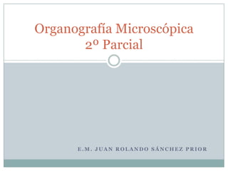 Organografía Microscópica
       2º Parcial




      E.M. JUAN ROLANDO SÁNCHEZ PRIOR
 