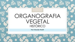 ORGANOGRAFIA
VEGETAL
HISTÓRICO
Prof. Ricardo Finotti
 