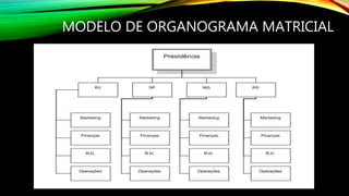 MODELO DE ORGANOGRAMA MATRICIAL
 