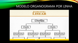 MODELO ORGANOGRAMA POR LINHA
 