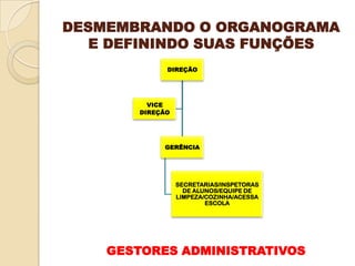 DESMEMBRANDO O ORGANOGRAMA
E DEFININDO SUAS FUNÇÕES
DIREÇÃO

VICE
DIREÇÃO

GERÊNCIA

SECRETARIAS/INSPETORAS
DE ALUNOS/EQUIPE DE
LIMPEZA/COZINHA/ACESSA
ESCOLA

GESTORES ADMINISTRATIVOS

 