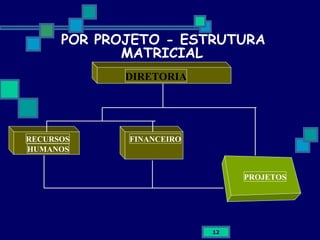POR PROJETO - ESTRUTURA MATRICIAL DIRETORIA RECURSOS HUMANOS FINANCEIRO PROJETOS 
