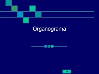 Organograma 